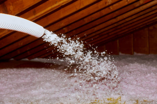 Best Insulation Materials and Products in Venetian Vlage, IL